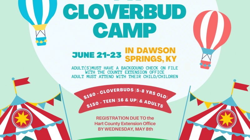 Cloverbud Camp Flyer