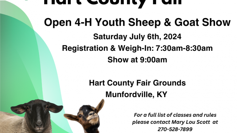 flyer for sheep and goat show 